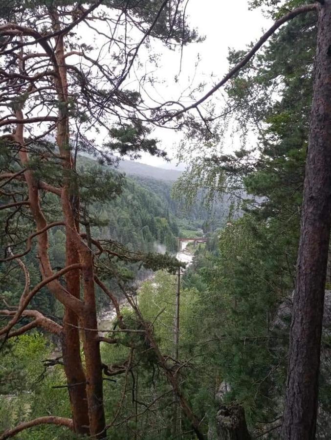 Лісова Казка Villa Jaremtsje Eksteriør bilde