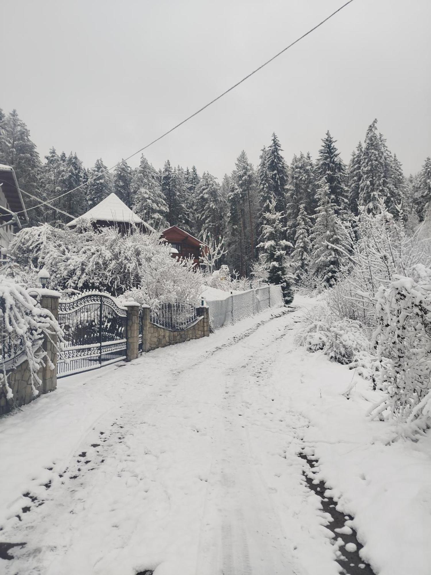 Лісова Казка Villa Jaremtsje Eksteriør bilde
